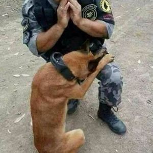 Meet your Posher, Felix ordonez